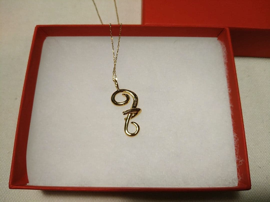 藤井フミヤ 60th RED PARTY 限定 ネックレス - メルカリ