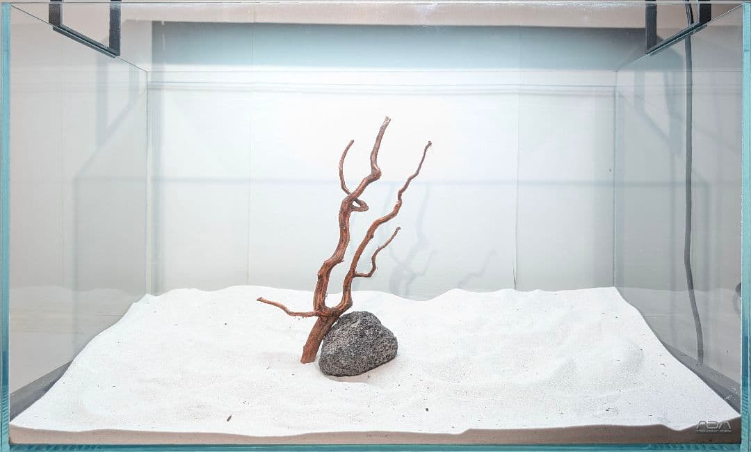 60cm水草水槽セット （水草後から） キャビネット付│ 水草水槽 60cm