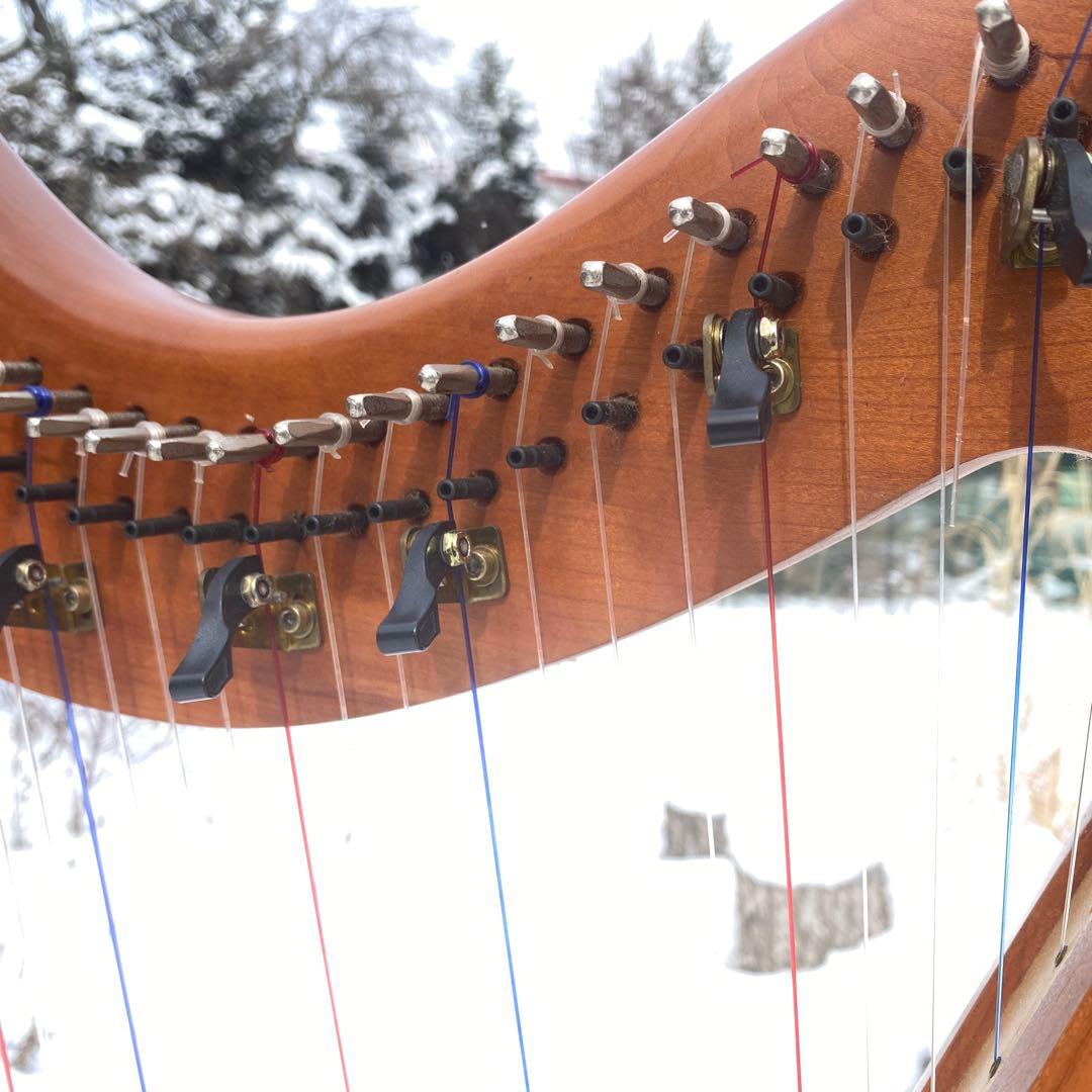 ストーニーエンド　ブリタニー　バラの絵