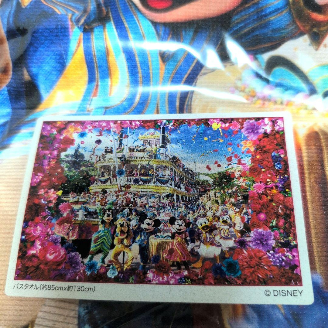 ディズニーランド　35周年　イマジニングザマジック　蜷川実花　実写　バスタオル