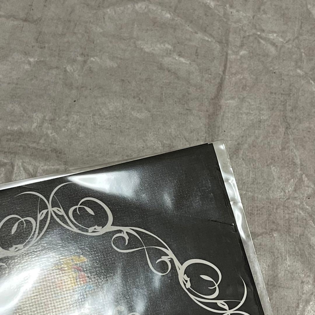 ［未開封］レペゼン地球　レペゼンフォックス　candy foxx