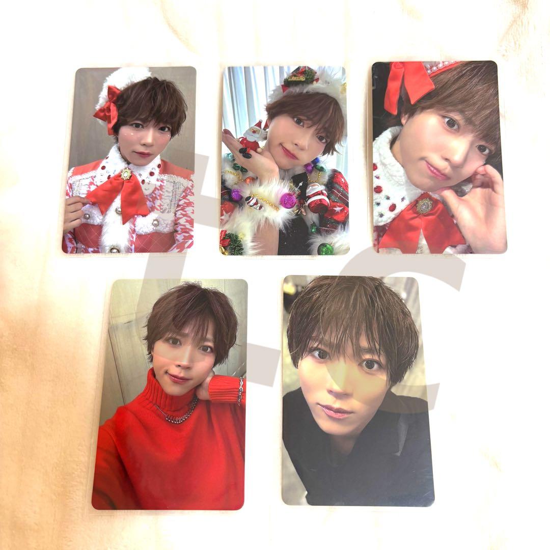 パンダドラゴン 2026 日本武道館 ぱっち トレカ 5枚セット - メルカリ