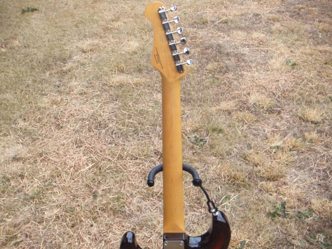 Fujigen NST 200 ラッカー　マダガスカルローズ　ダンカン