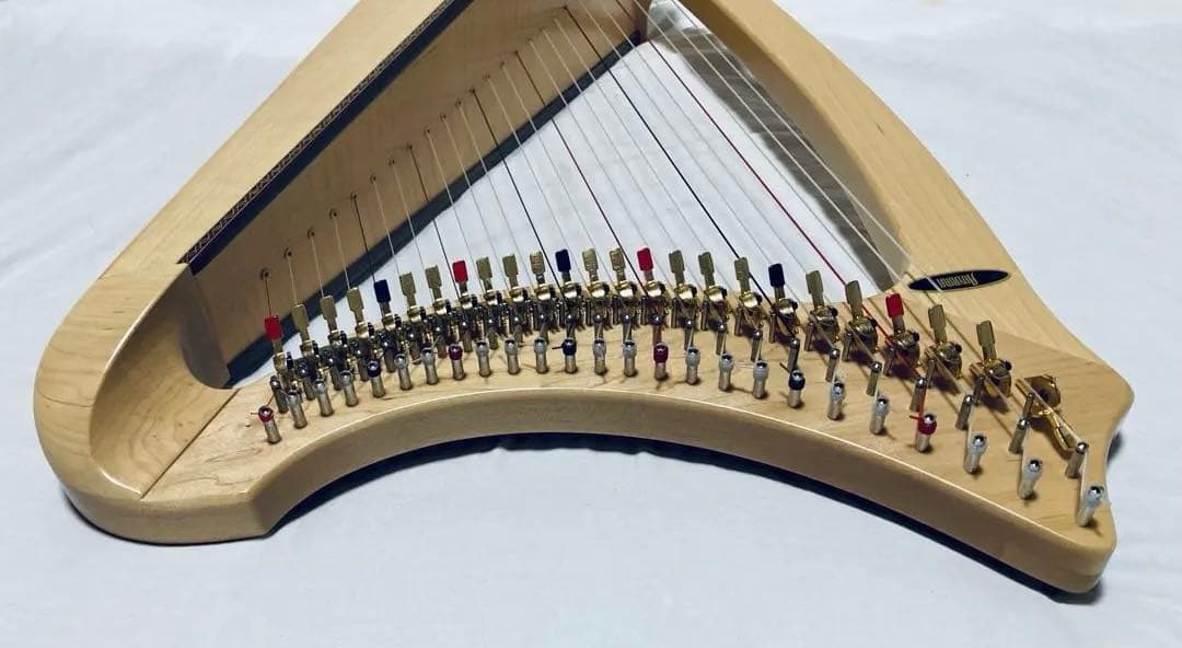 AOYAMA 25S 青山ハープ 25弦 コンパクト ノンペダル 軽量 ケース付