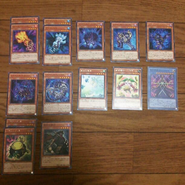 聖占術シャドール デッキ