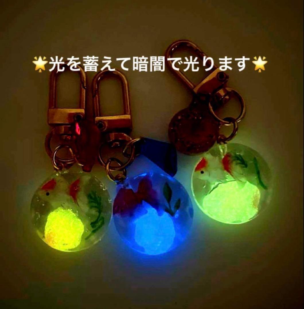 ❤️竜そばです❤️ 暗闇で光る　レジン　チャーム　21点　プレゼント付