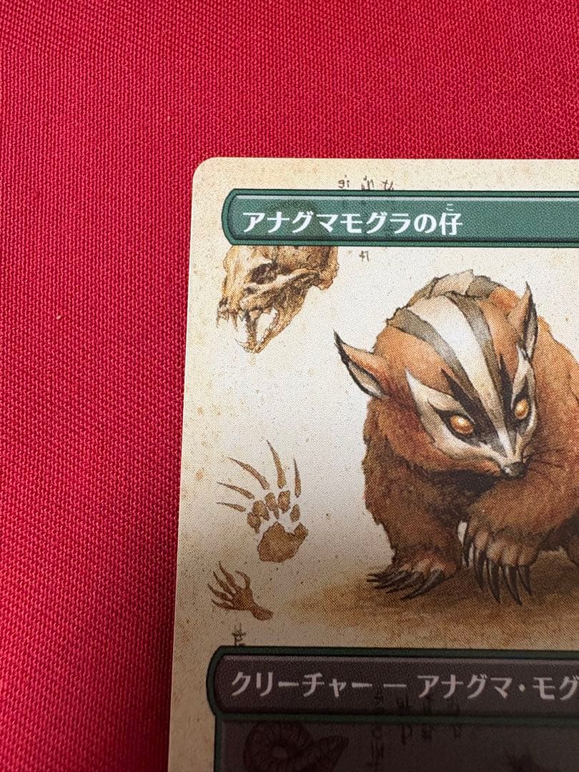 MTG アナグマモグラの仔 拡張 MTG アナグマモグラの仔/Badgermole Cub