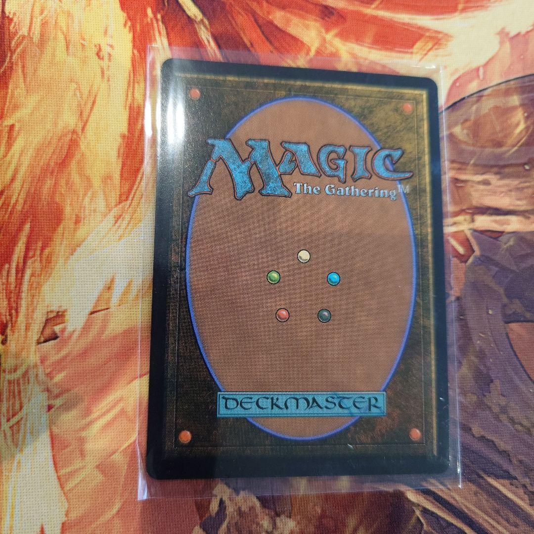 MTG 霧深い雨林 日本語版 ドラゴンスケイル