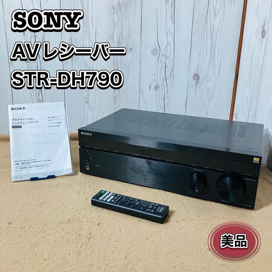 Robertson-audio 6010 アンプ 本体