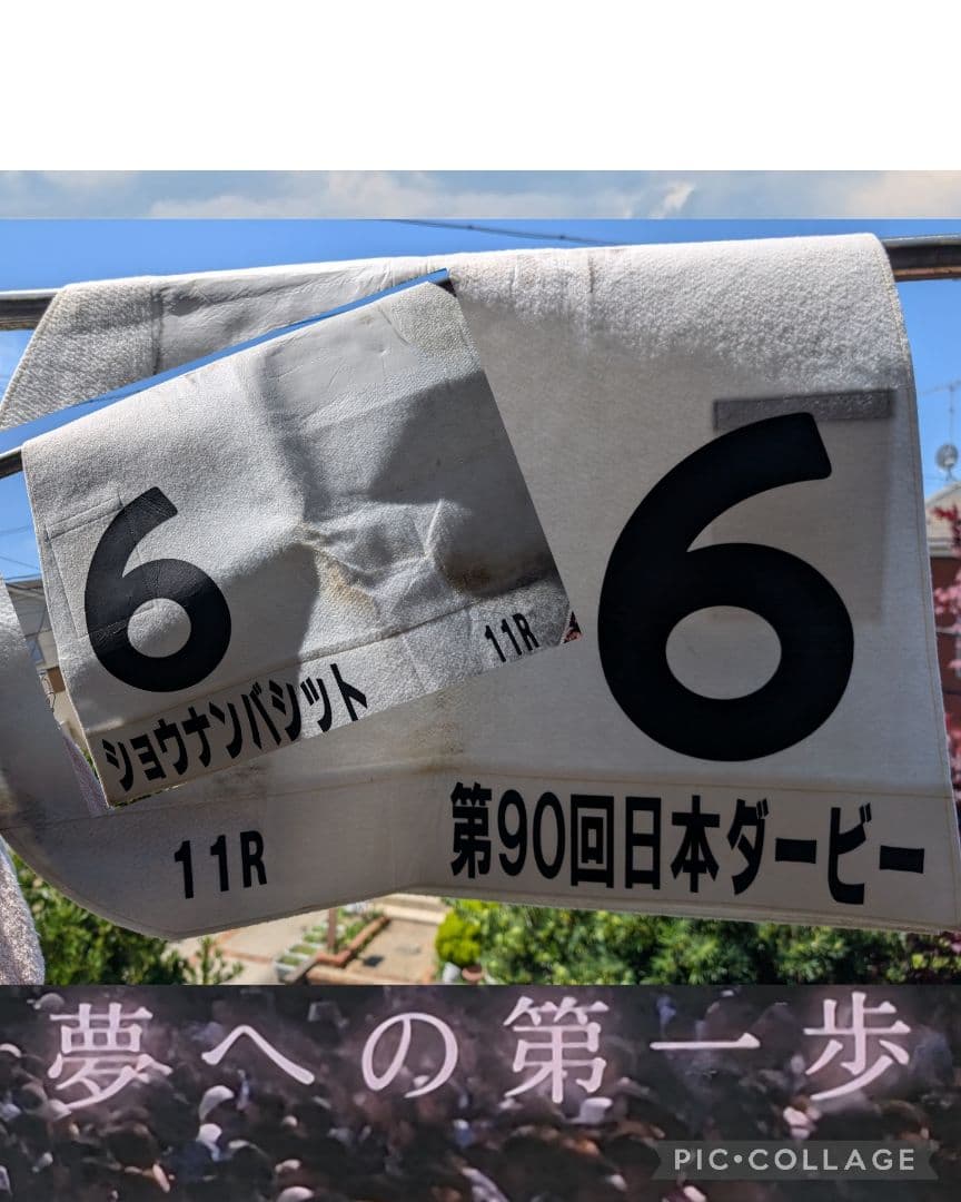 第90回日本ダービー実使用ゼッケン】 ショウナンバシット号