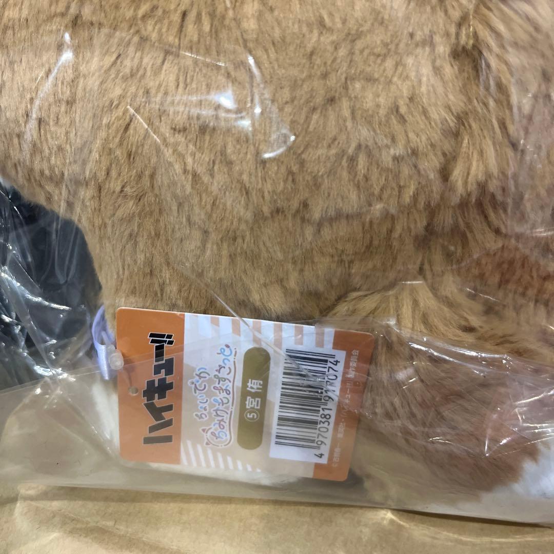 ジャンプフェスタ　2026 ハイキュー　ちょいでかちみけもますこっと　宮侑　宮治