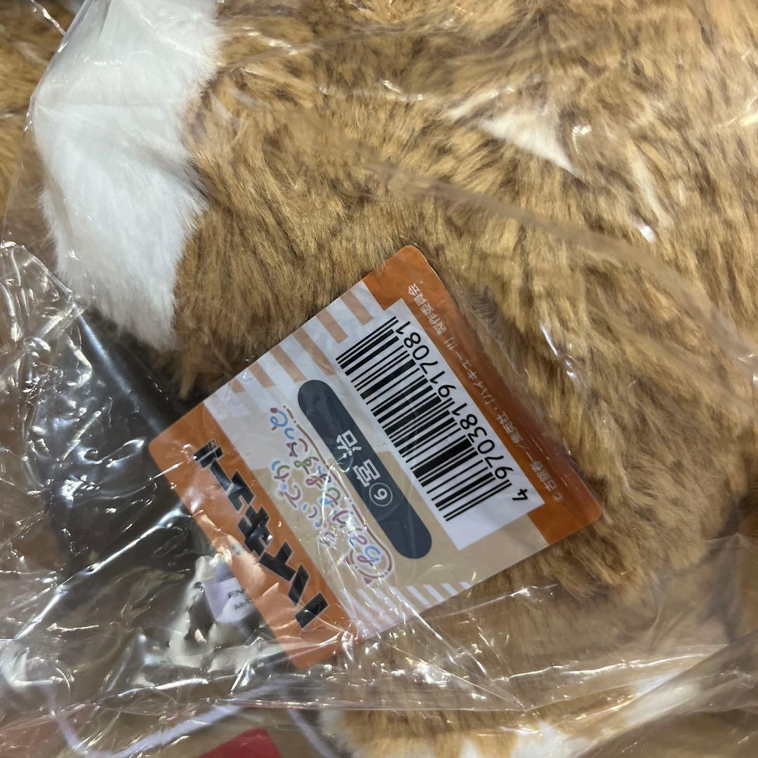 ジャンプフェスタ　2026 ハイキュー　ちょいでかちみけもますこっと　宮侑　宮治