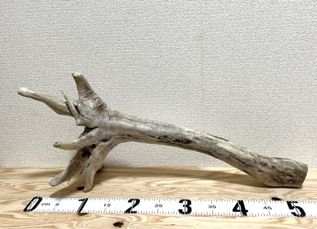 爬虫類用流木のおすすめ人気ランキング【2025年11月】 | マイベスト