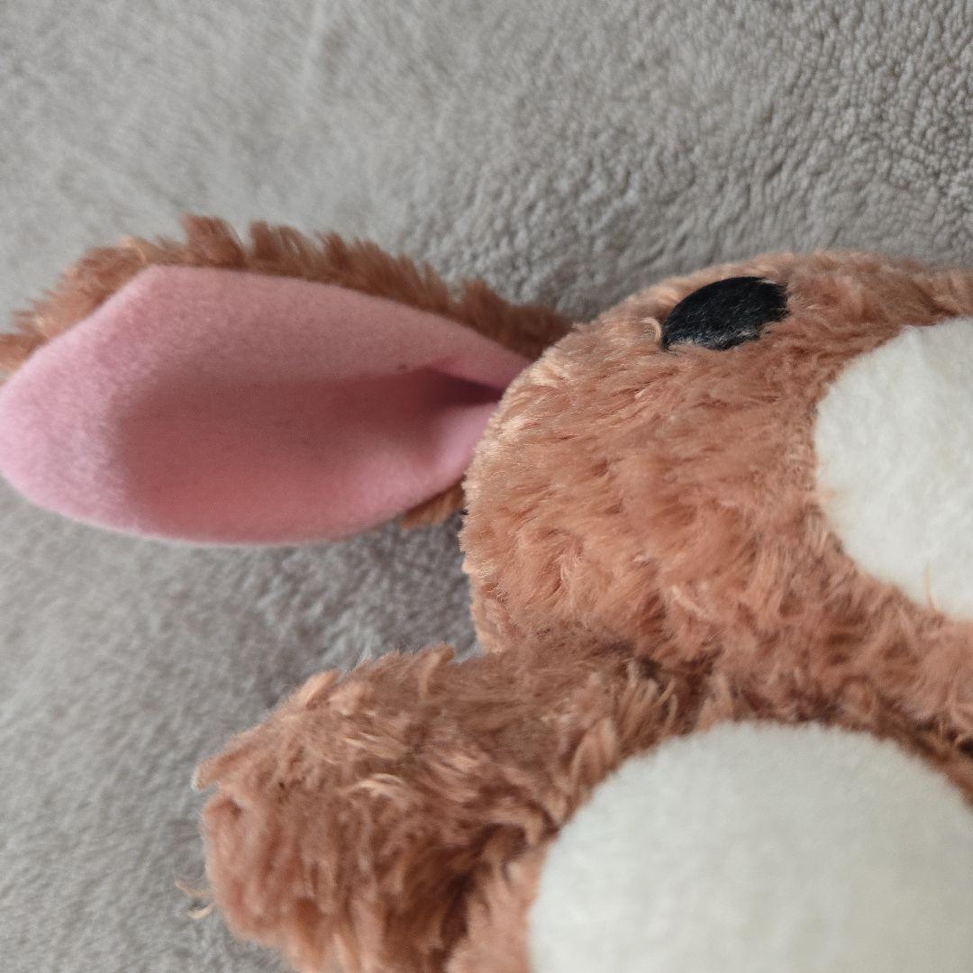 シュガーバニーズ　ぬいぐるみ 茶色