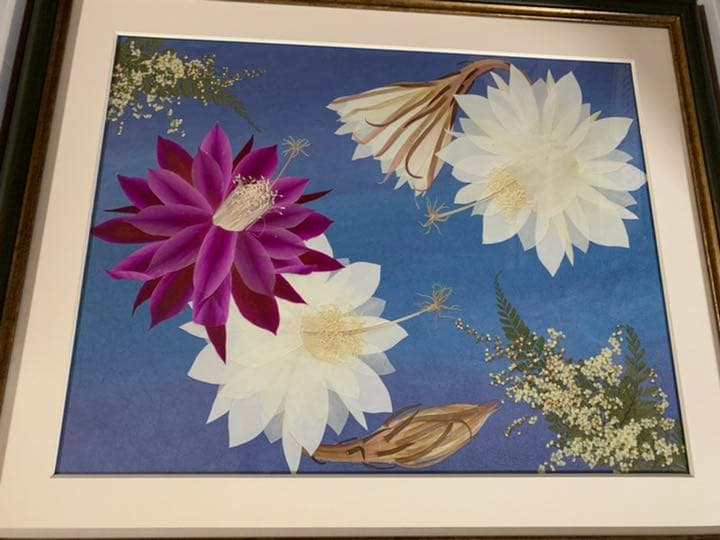 押し花 アート 額 月下美人