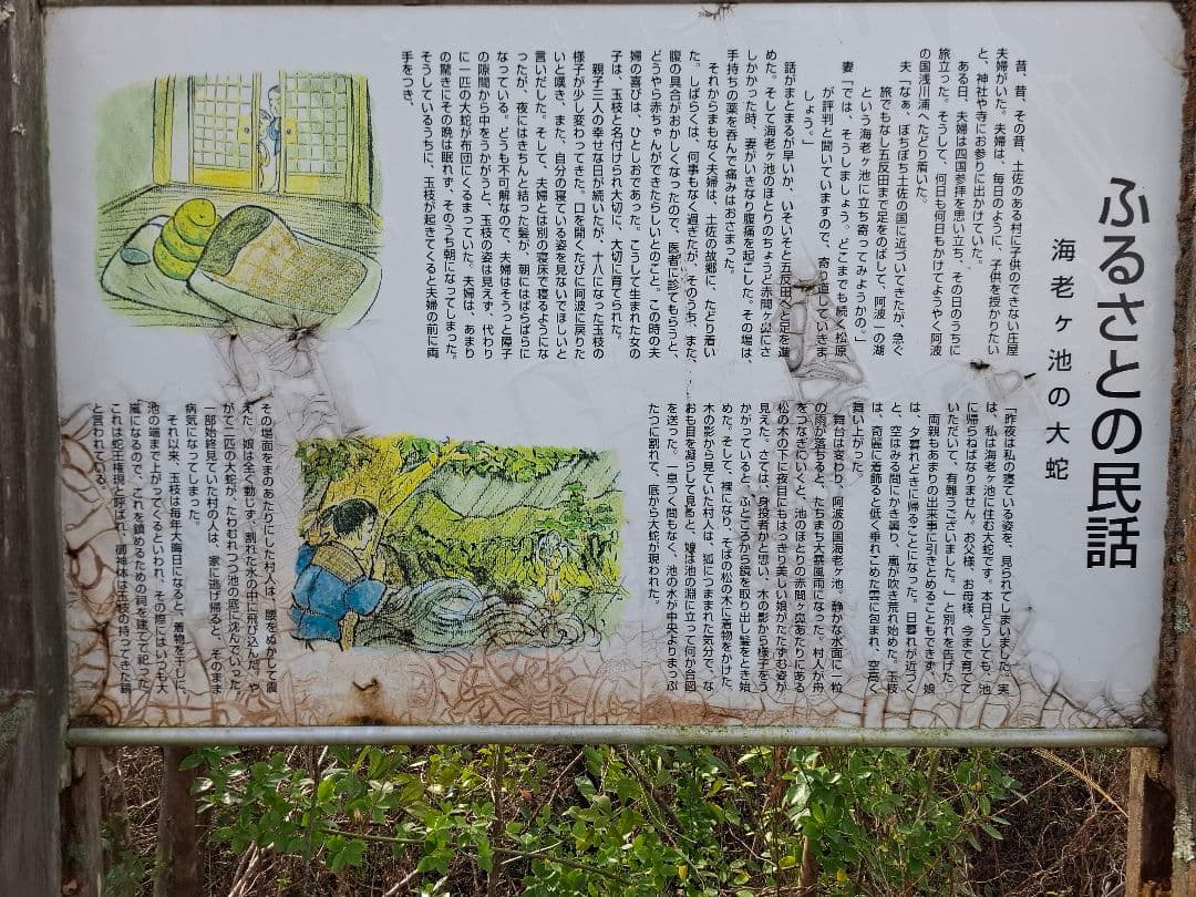 油絵　海老ヶ池　『えびがいけ 』昔話P50