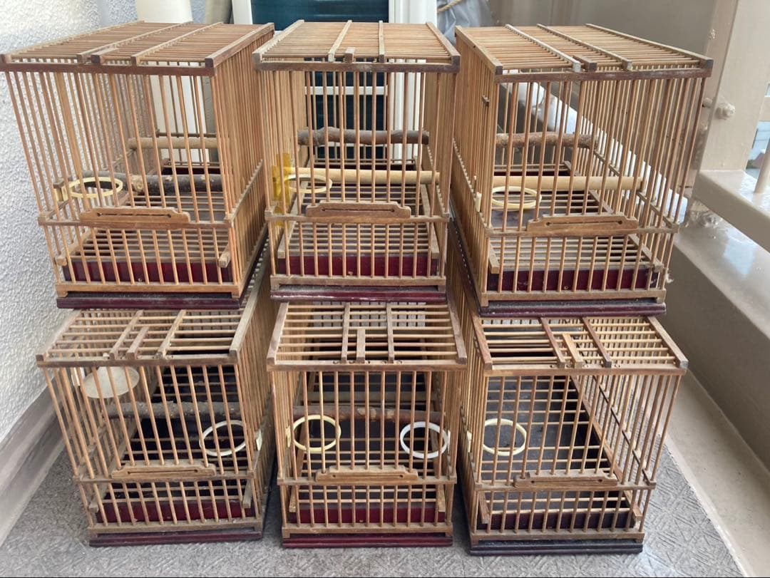 ウグイス籠 ウグイスやオオルリ用籠 – 鳥籠屋十蔵