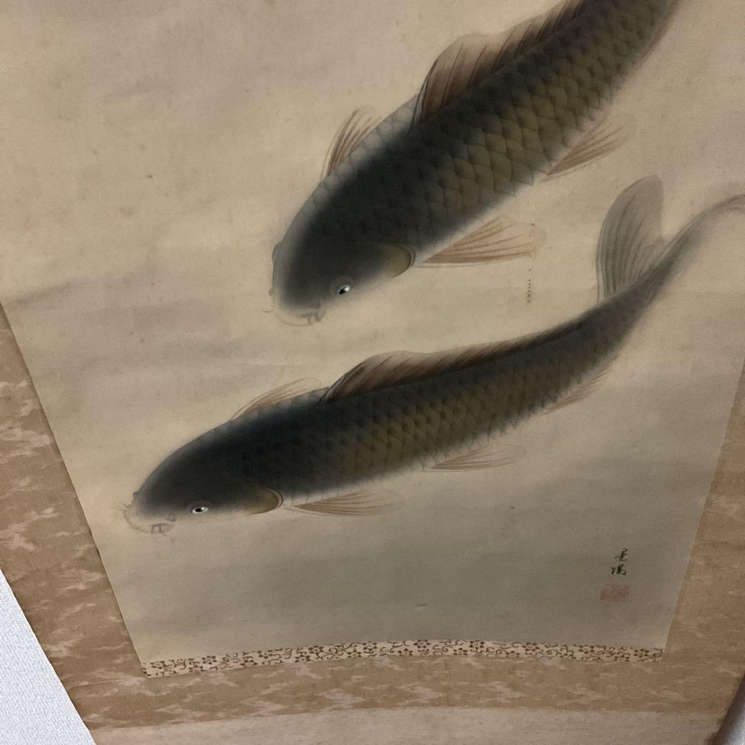 晃陽筆 彩色画 絹本掛け軸 【 遊鯉図 】 軸先陶器軸