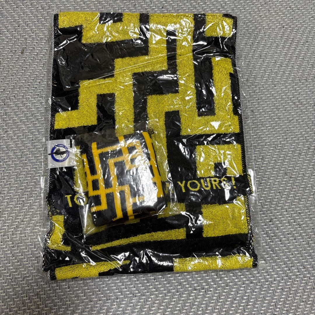 布袋寅泰ドーベルマンぬいぐるみ 布袋寅泰 ドーベルマンツアーグッズ