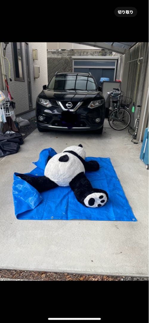 COSTCO コストコ　パンダぬいぐるみ BIGサイズ