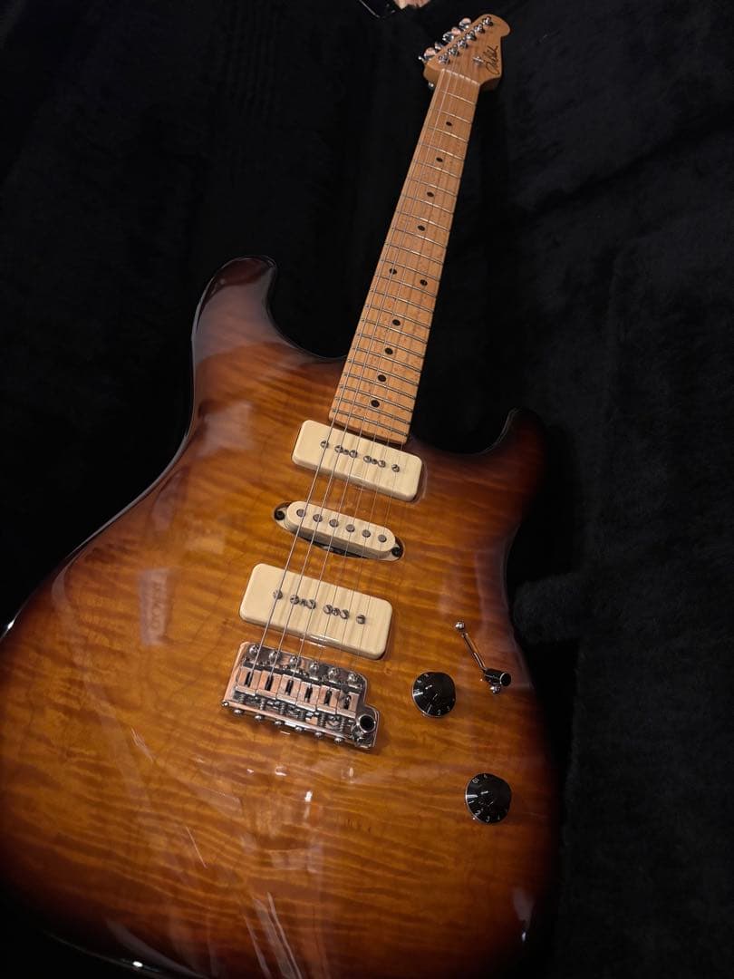 ギター J.W.Black guitars jwb-s 2019