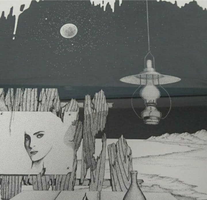 Tanaka 筆 エディション№ 71/100 額装 リトグラフ/絵画/版画/