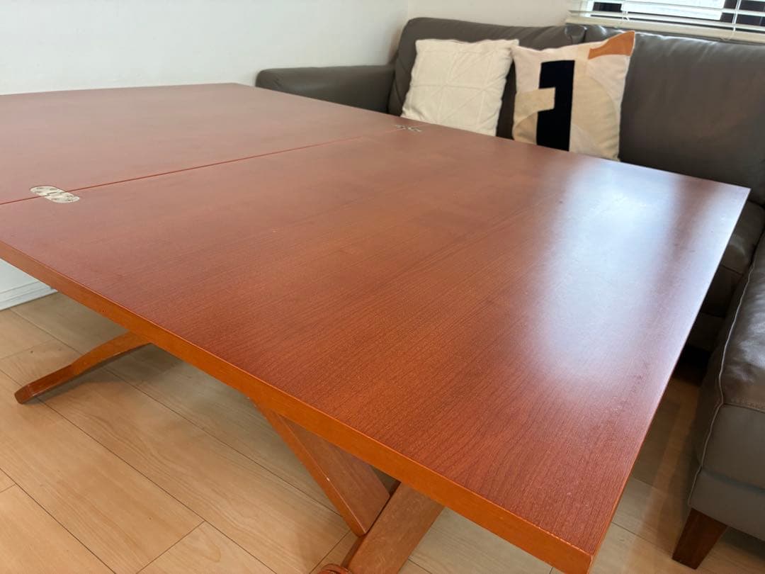 シンタロウ様　送料込み　カリガリス コヌビア マスコッティ テーブル