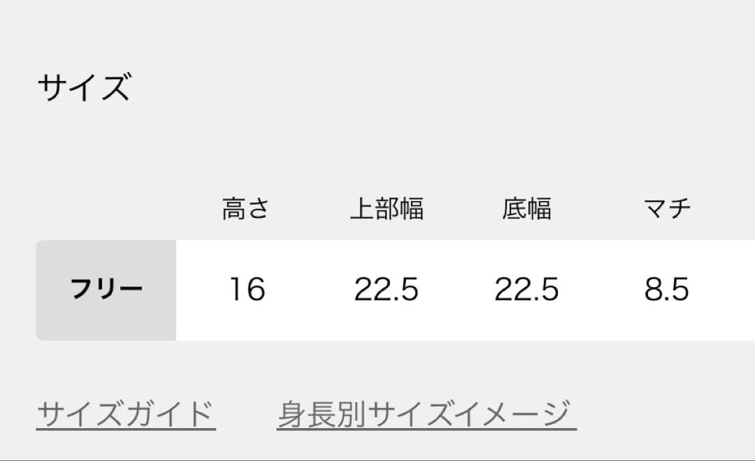 Manuel MILANO イエナ別注 レザーバッグ MIDI