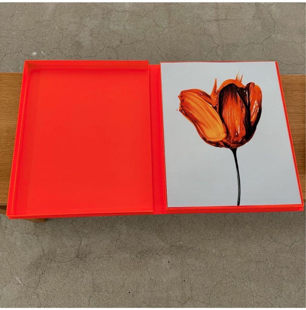 てぃんくる版画 pinot noir C/E 75部限定 アールビバン 美品 Yahoo