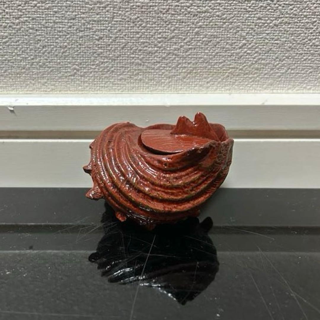 川瀬表完　天然胎さざえ香合　茶道具懐石茶箱鵬雲斎坐忘斎淡々斎即中斎茶碗水指茶杓棗