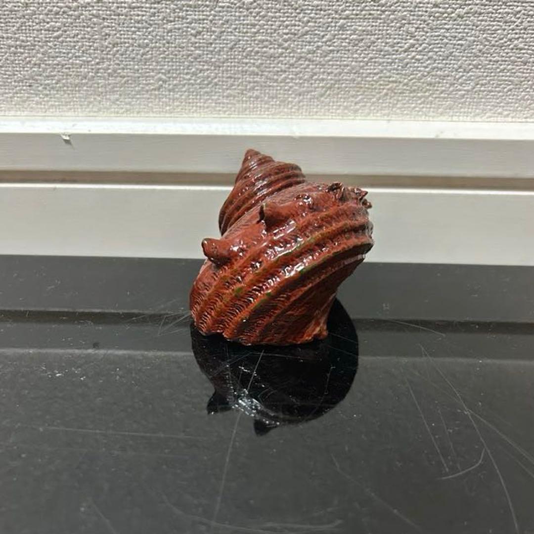 川瀬表完　天然胎さざえ香合　茶道具懐石茶箱鵬雲斎坐忘斎淡々斎即中斎茶碗水指茶杓棗