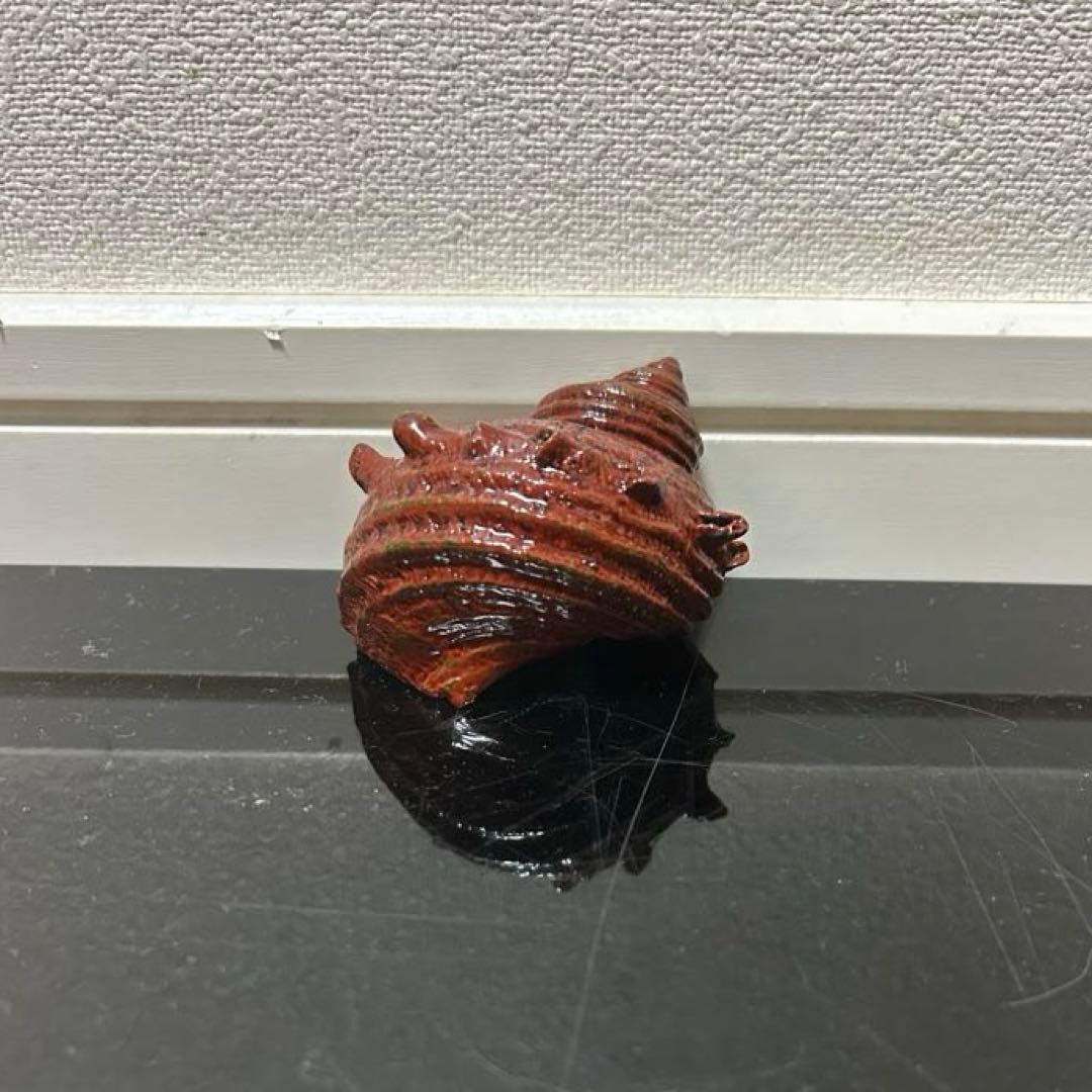 川瀬表完　天然胎さざえ香合　茶道具懐石茶箱鵬雲斎坐忘斎淡々斎即中斎茶碗水指茶杓棗