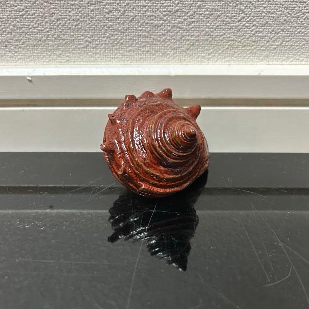 川瀬表完　天然胎さざえ香合　茶道具懐石茶箱鵬雲斎坐忘斎淡々斎即中斎茶碗水指茶杓棗