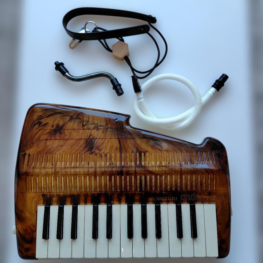 スズキ アンデス 25F べっ甲柄 - メルカリ