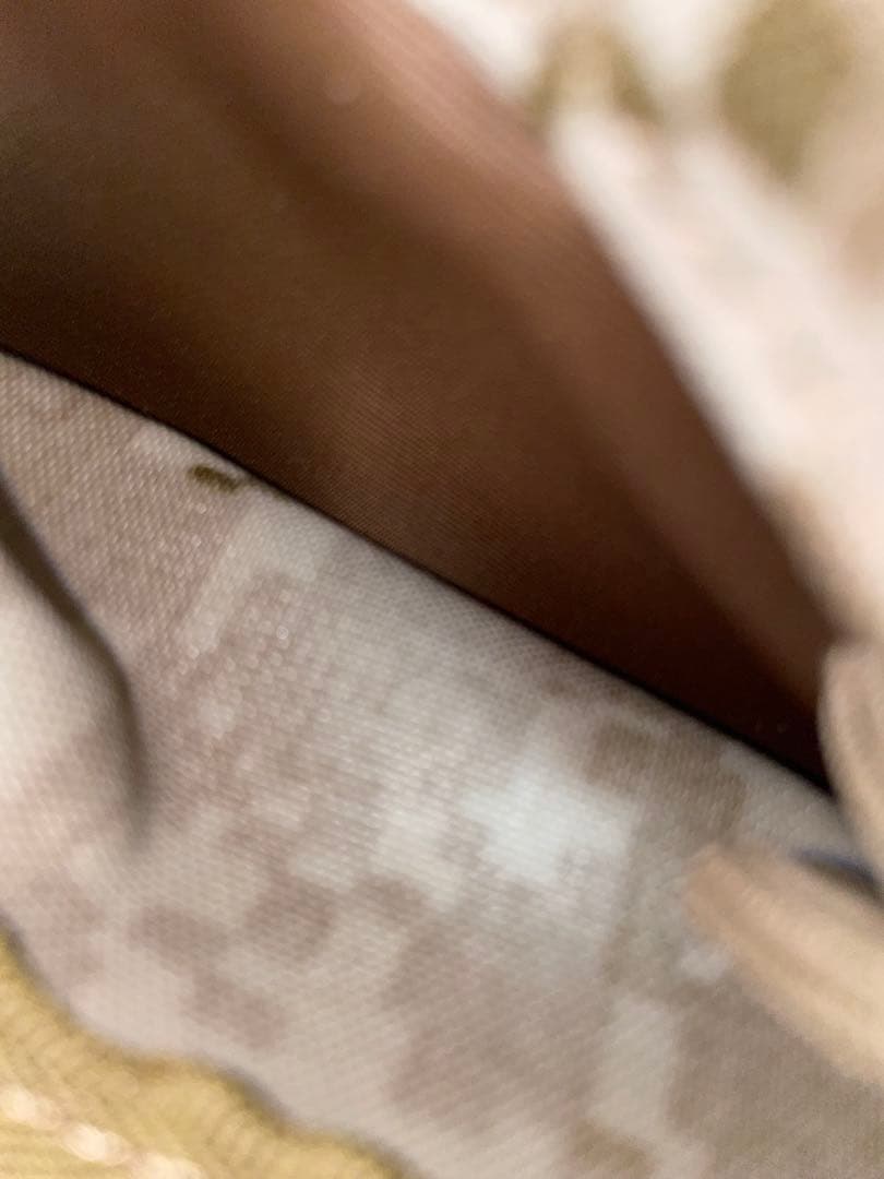 エマーソンギア ハイドレーションアサルトパック 日本未発売 美品 通勤