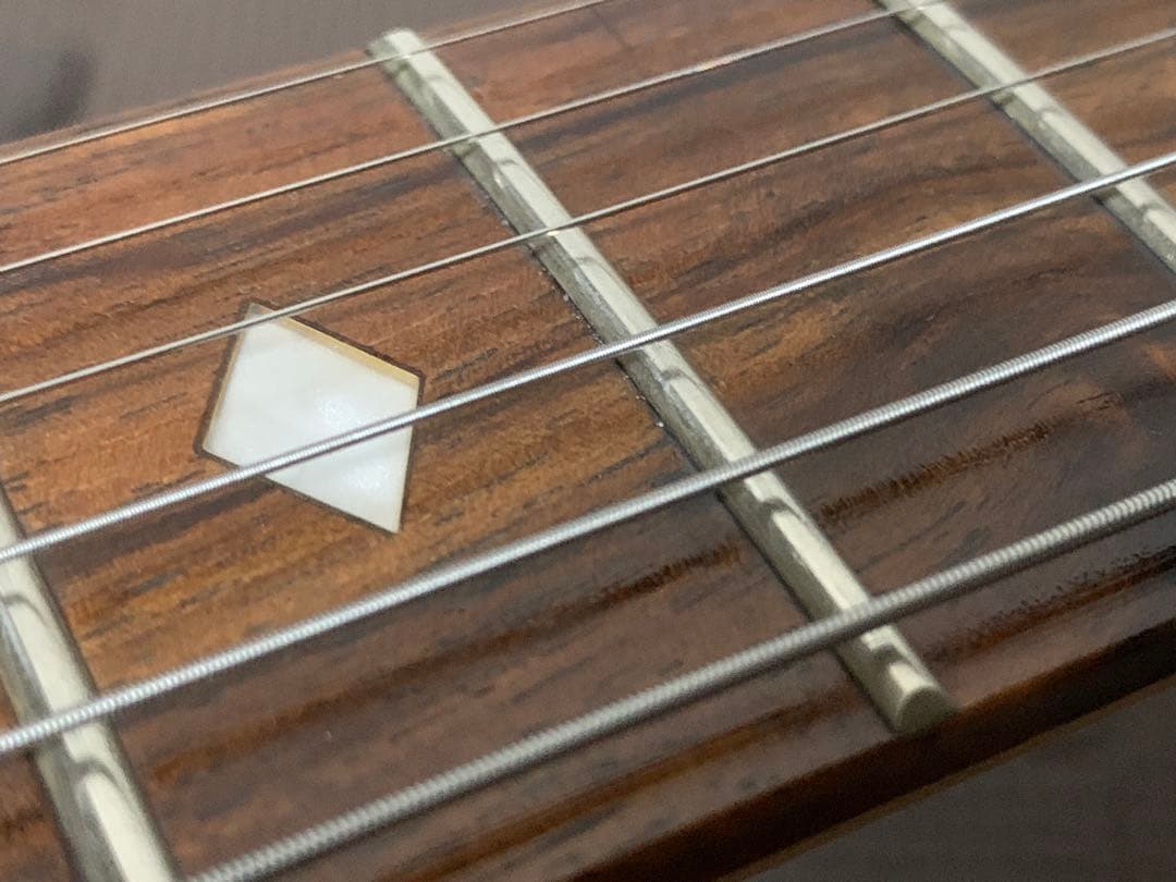 Chatting Bird Mockingbird モッキンバード hide