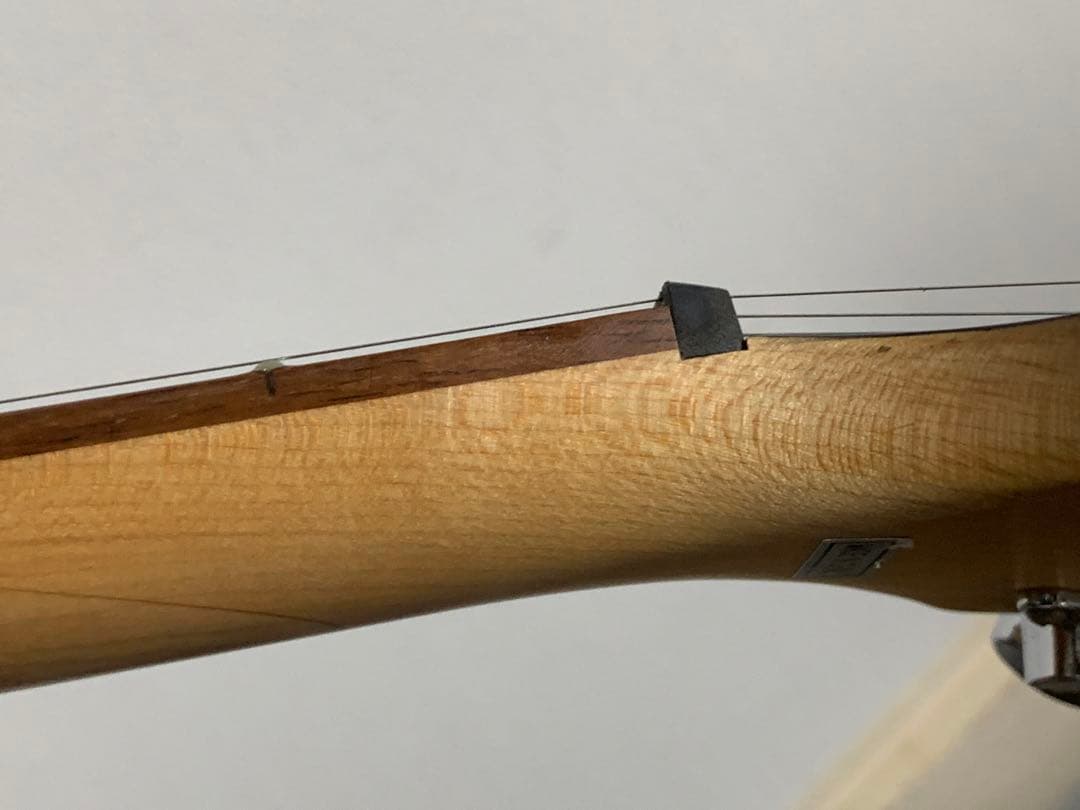 Chatting Bird Mockingbird モッキンバード hide