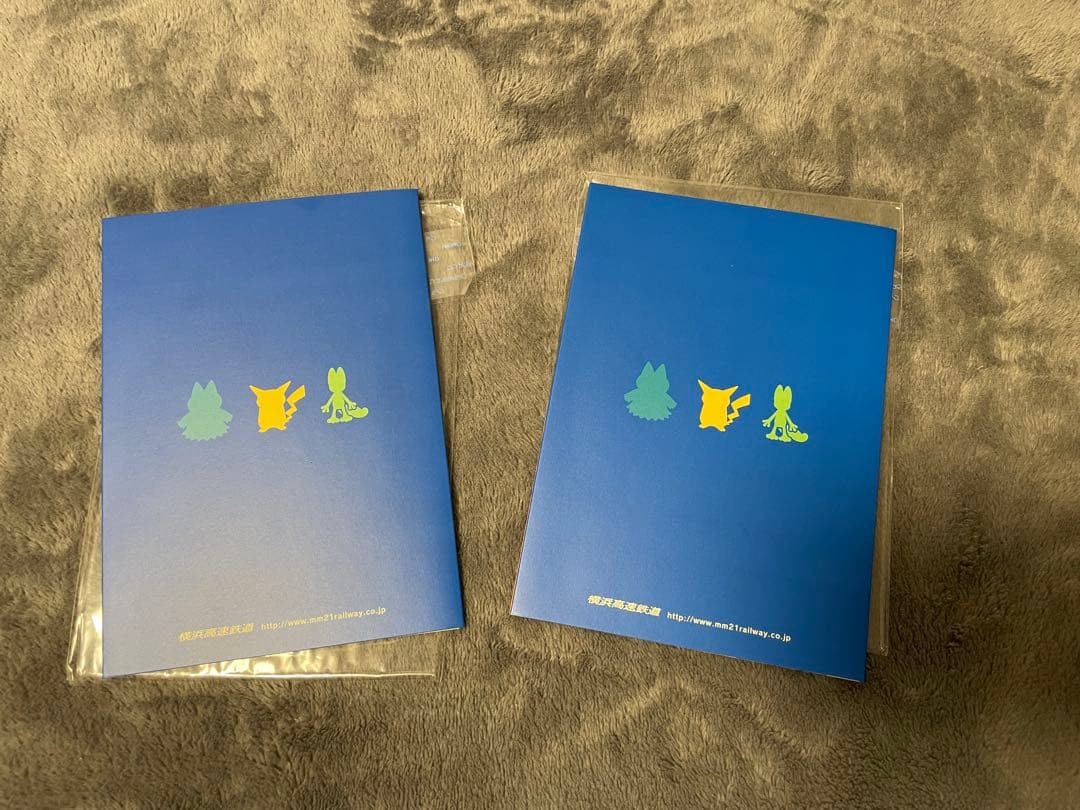 【新品】ポケモンカード　ポケパーク　ポケモンパスネット　2005年　希少