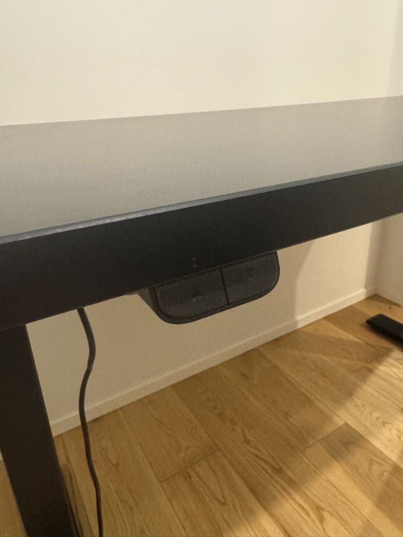 FLEXISPOT 電動式昇降デスク EG1 天板ブラック