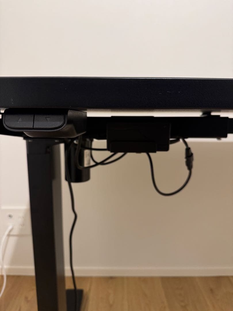 FLEXISPOT 電動式昇降デスク EG1 天板ブラック