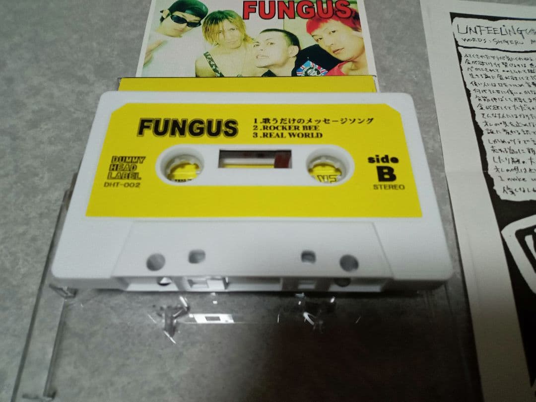 FUNGUS 完売間近！！