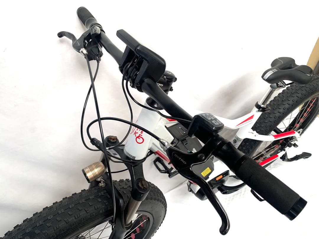 【即乘】送料無料LeTs BIKE ディスク式MTB電動自転車10速 動作確認済