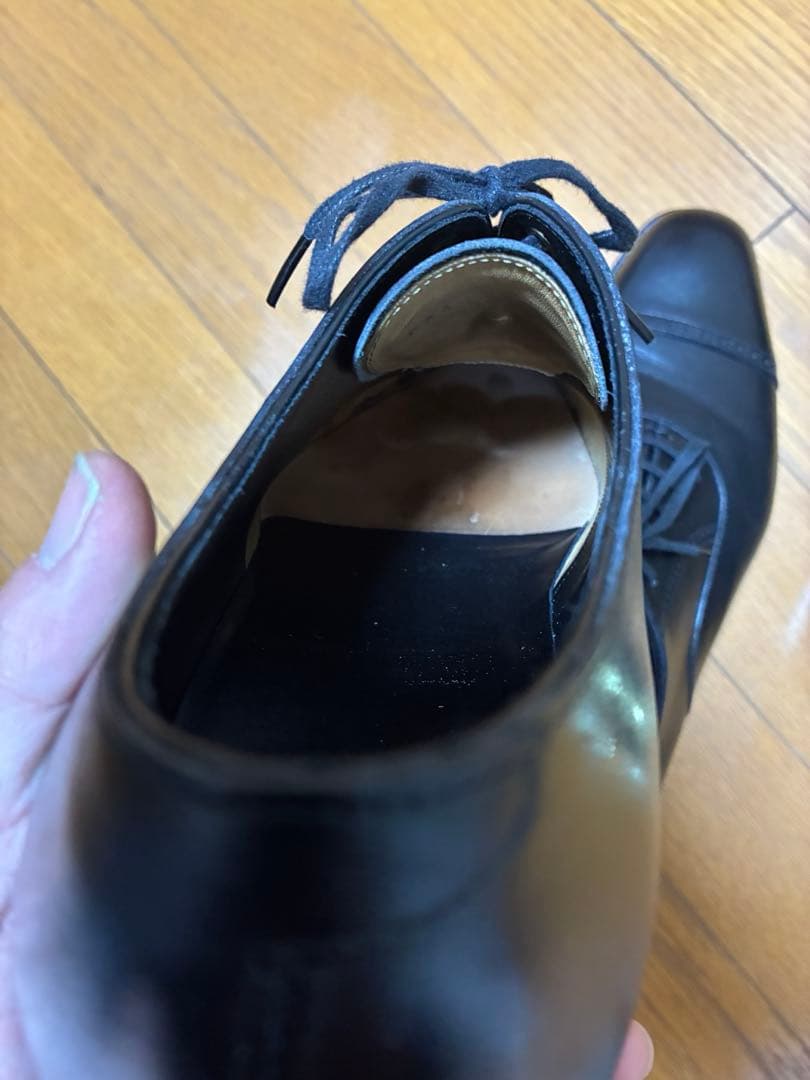 【ツリー込み】三陽山長　勇也　7.5 25.5