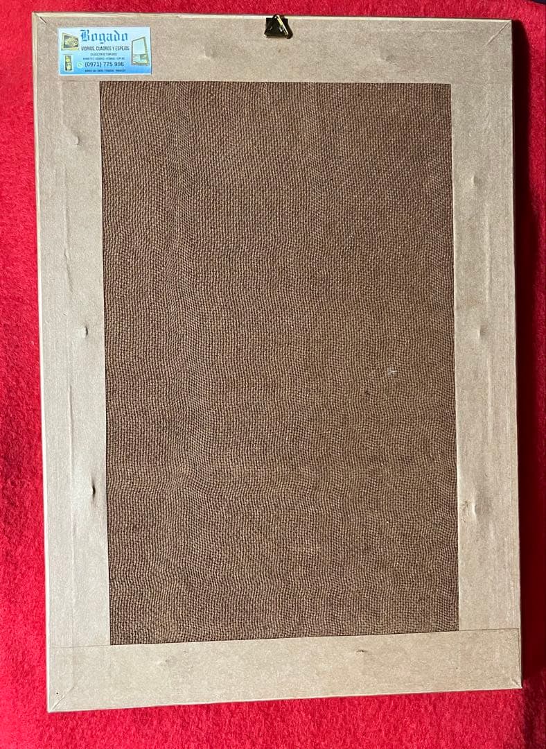 ニャンドゥティ伝説織 額縁入り12輪の白いお花 珍しい レース 刺繍