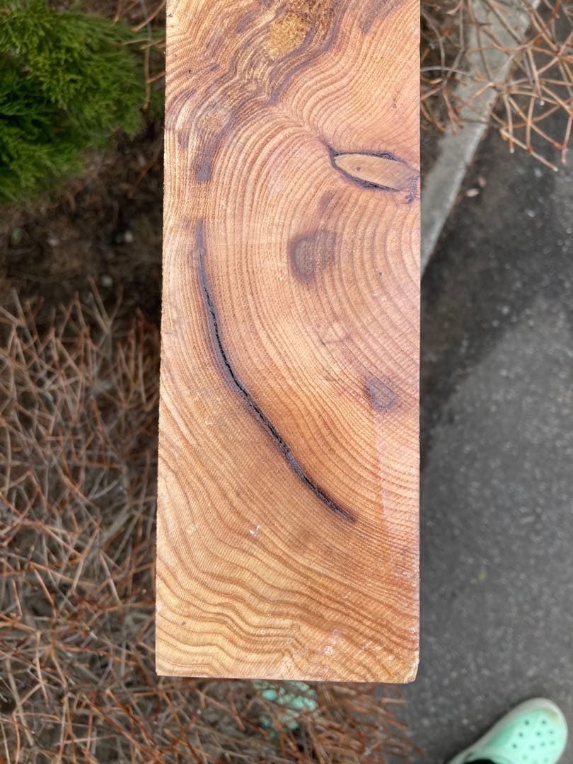 乾燥済み　北海道　イチイ　オンコ　一位　材料　106×20×7cm