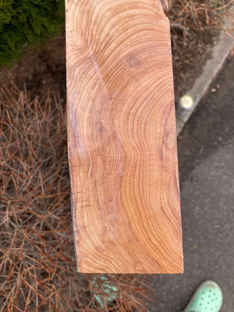 乾燥済み　北海道　イチイ　オンコ　一位　材料　106×20×7cm