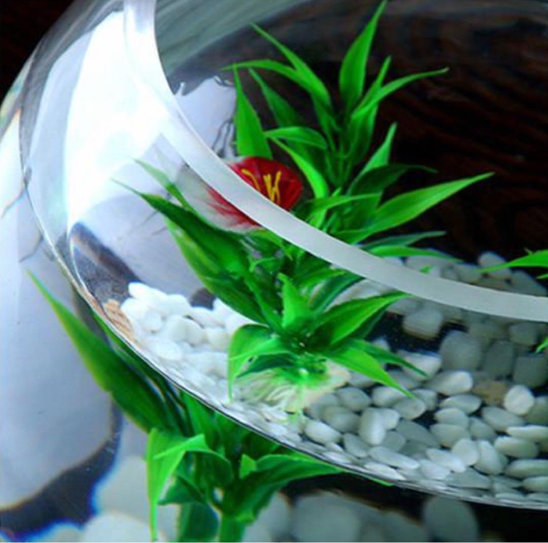 金魚鉢 ガラス テラリウム アクアリウム 花瓶 水槽 容器 ボウル 安い