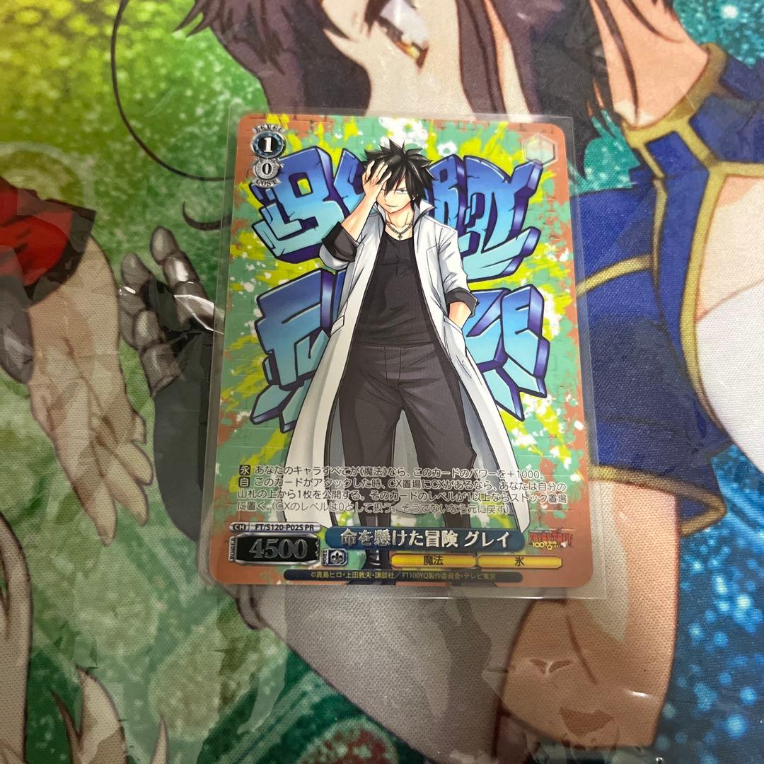 命を懸けた冒険グレイPR二枚セット