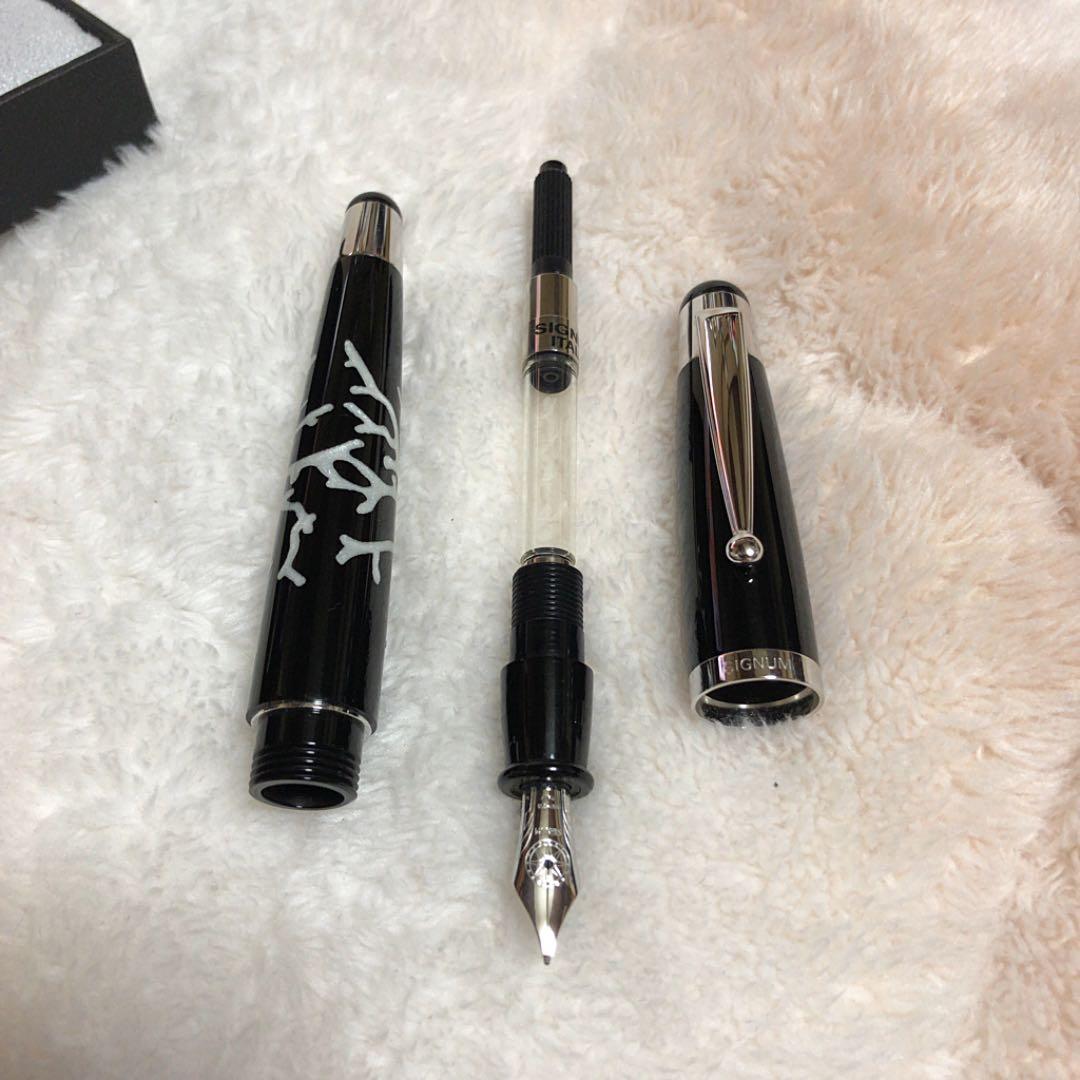 ☆未使用品 シグナム コラーロ コレクション 万年筆 ホワイト 18金 ニブF☆