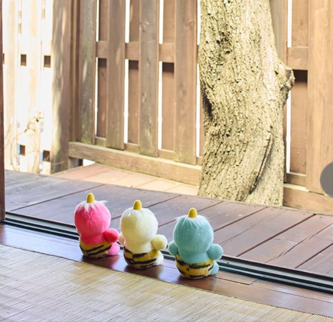 ピカポン ぬいぐるみ 3色セット